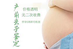 驻马店怀孕期间怎么鉴定孩子是谁的，驻马店胎儿亲子鉴定需要多少钱